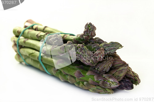 Image of green asparagus