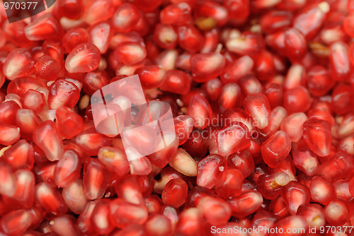Image of Pomegranate