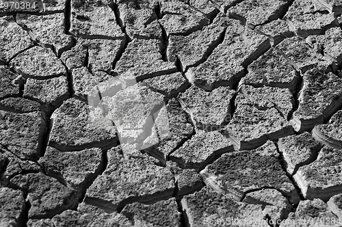 Image of Dry Land
