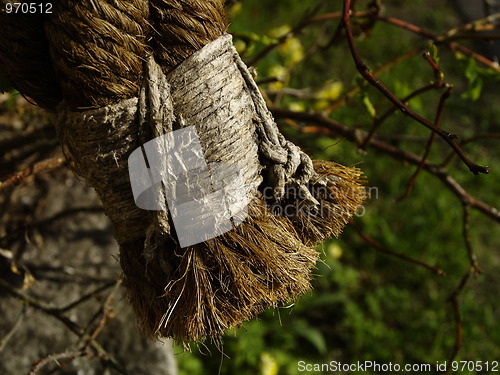 Image of whipping knot