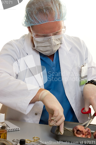 Image of Surgeon or doctorr with a kidney