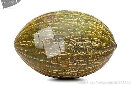 Image of Melon