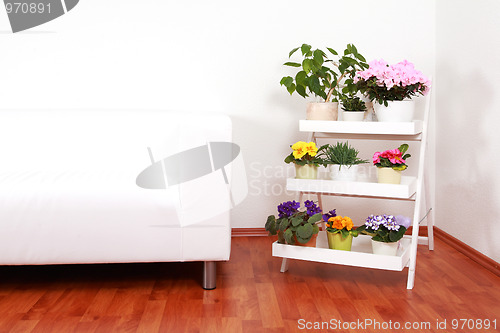 Image of Flowers in interior