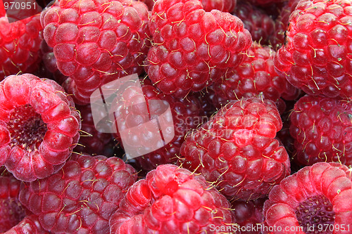 Image of Raspberries