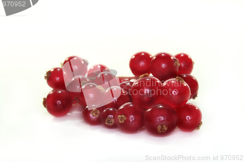 Image of Currants