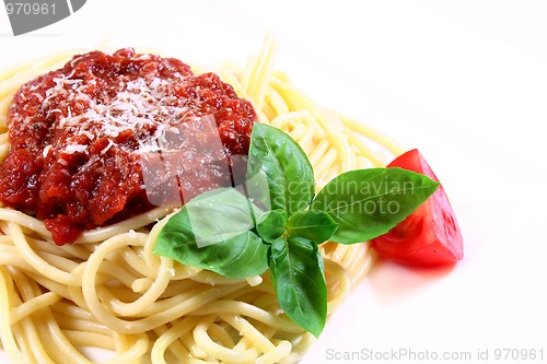 Image of Spaghetti