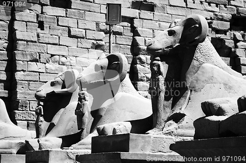 Image of Temple in Luxor  Egypt