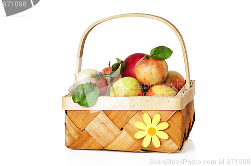 Image of Wattled basket full of ripe apples