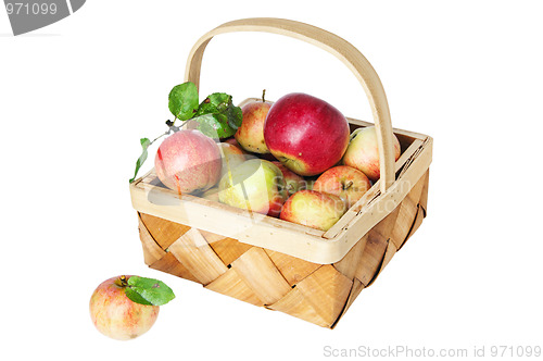 Image of Wattled basket full of ripe apples