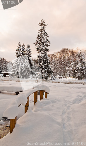 Image of Snow winter park