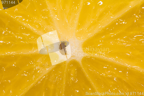 Image of Orange
