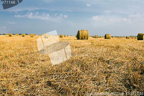 Image of Agriculture