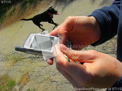Image of Pick up dog food