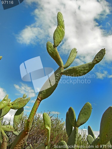 Image of Reach for the Sky