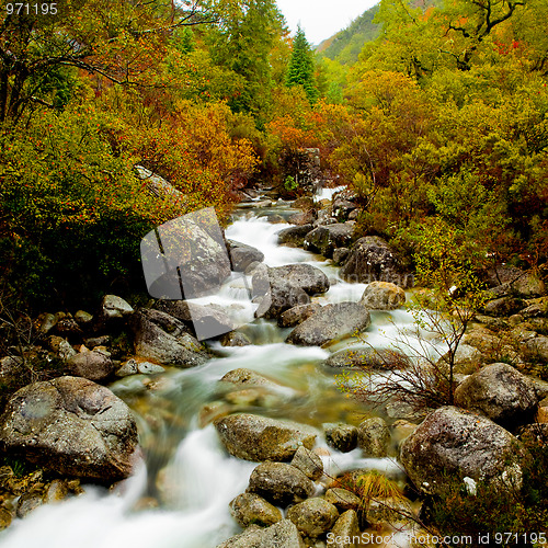 Image of Mountain River 