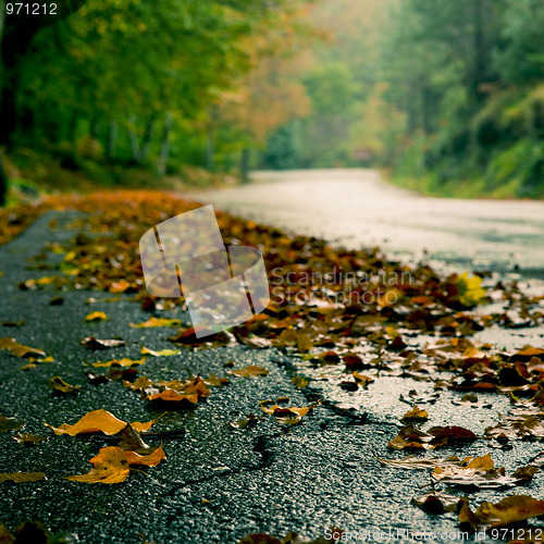 Image of Autumn landscape