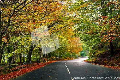 Image of Beautiful road