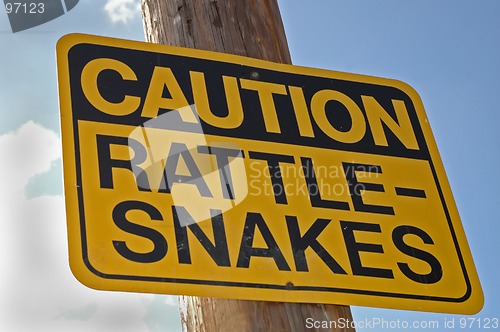 Image of Caution: Rattle-Snakes