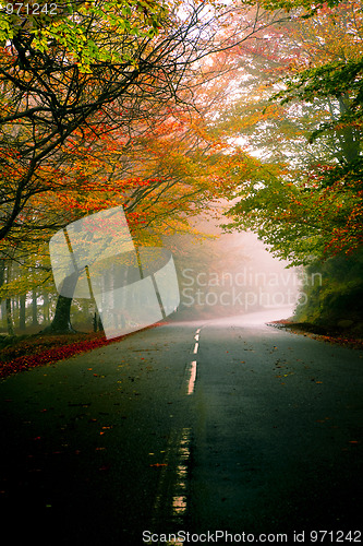 Image of Beautiful road