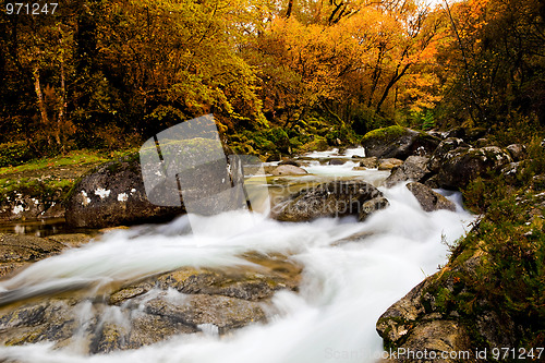 Image of Beautiful river