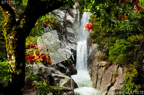 Image of Water Spring