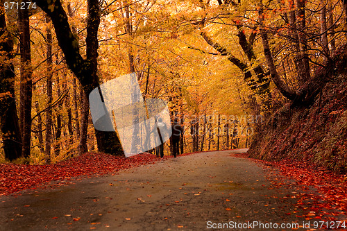 Image of Hiking