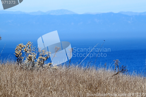 Image of santa cruz island