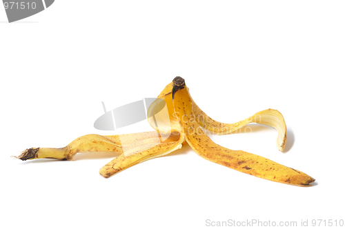 Image of Banana Skin