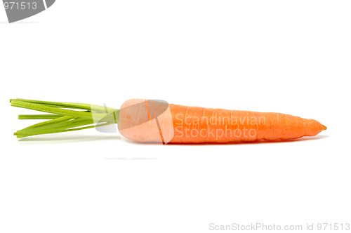 Image of Carrot on White