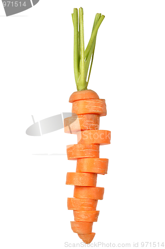Image of Carrot on White