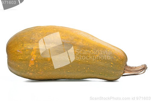 Image of Calabash pumpkin