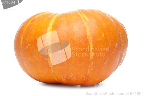 Image of Orange pumpkin 