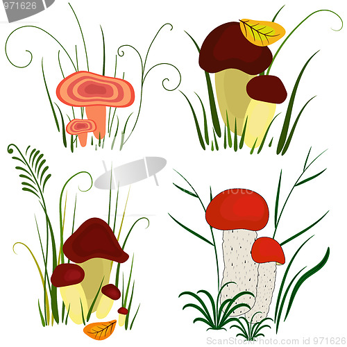 Image of Set of mushroom