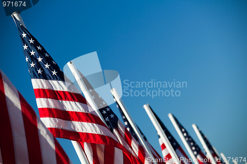 Image of USA American flags in a row