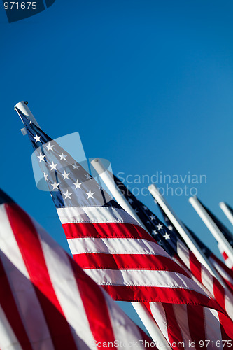 Image of USA American flags in a row