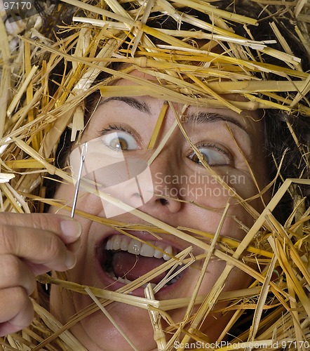 Image of Needle in Haystack