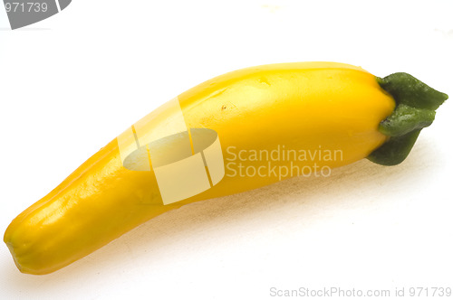 Image of yellow squash 