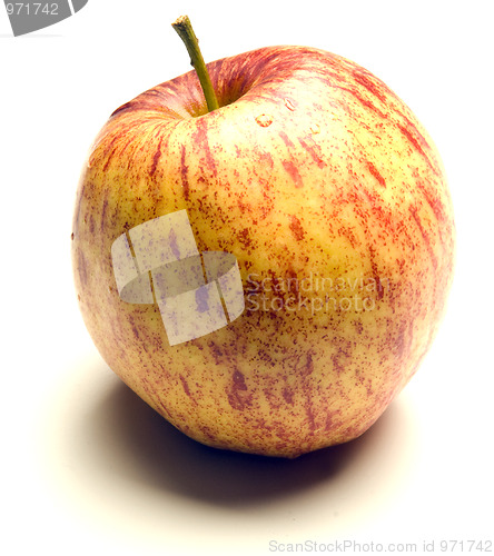 Image of jonagold apple on white background