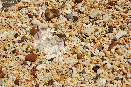 Image of Beach in Thailand