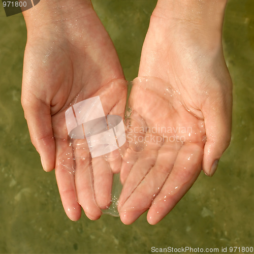 Image of Jellyfish in women's hands