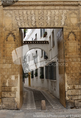 Image of Decorated entrance door in Cordoba