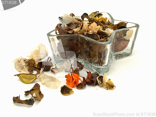 Image of Autumn Star Potpourri