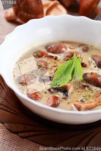 Image of Mushroom soup