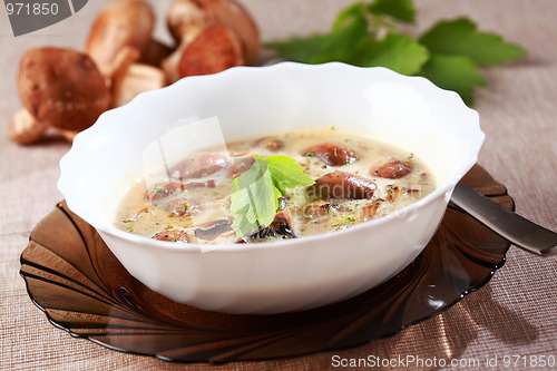 Image of Mushroom soup