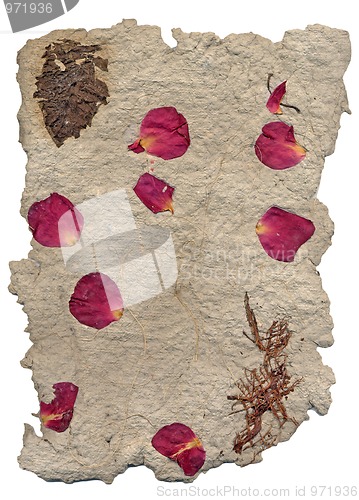 Image of Hand made paper