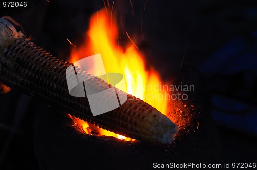 Image of Corn Fire