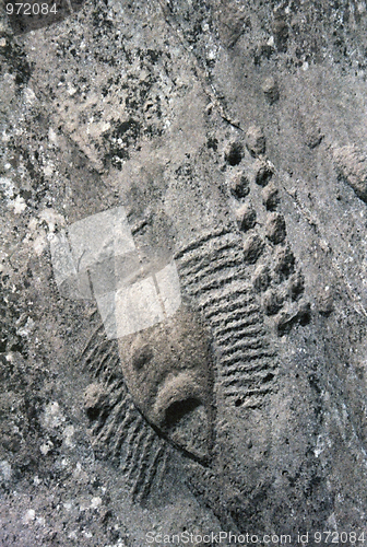 Image of Rock carvings in Qatar