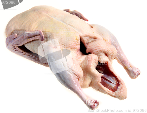 Image of Raw duck isolated on white