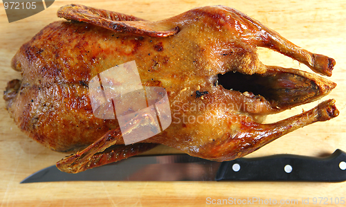 Image of Roasted duck from above