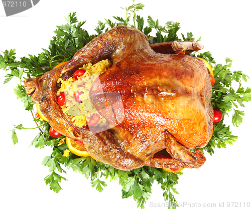 Image of Roast turkey from above